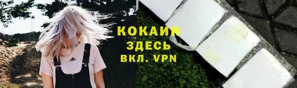 ALPHA PVP Горнозаводск