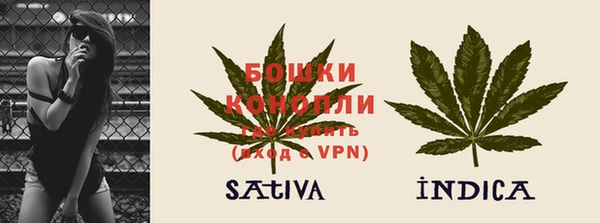 прущие крисы Горняк