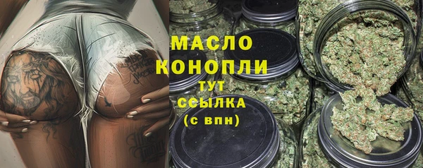 прущие крисы Горняк