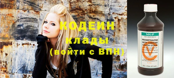 прущие крисы Горняк