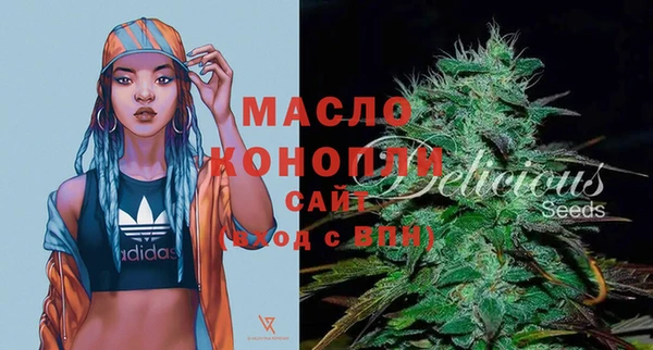 прущие крисы Горняк