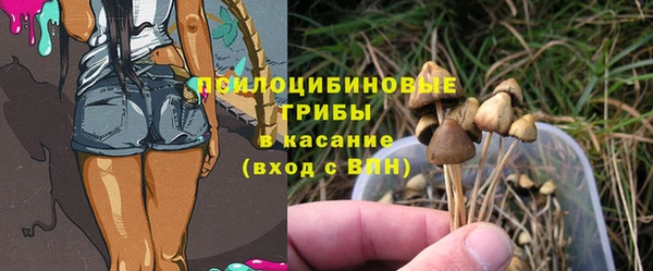 ALPHA PVP Горнозаводск