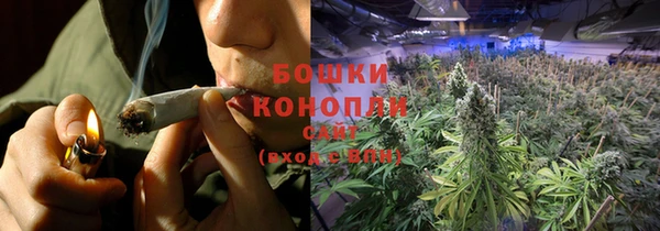 винт Вяземский