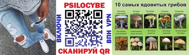 Купить закладки  Лебедянь  Галлюциногенные грибы ЛСД 
